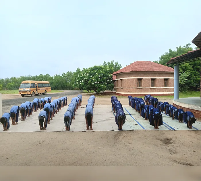 International Yoga Day Celebration