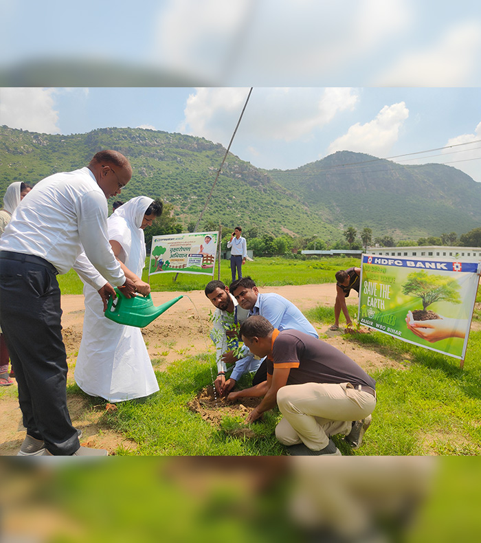 Tree plantation, providing solace to many