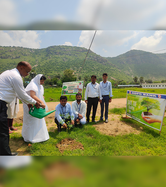 Tree plantation, providing solace to many