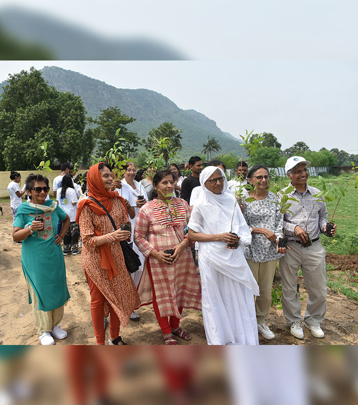 Tree plantation, providing solace to many