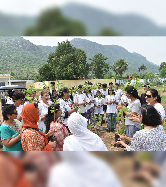 Tree plantation, providing solace to many